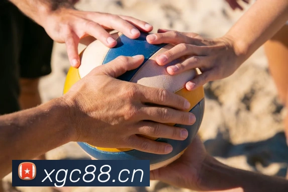 开云kaiyun官网及登录发展历程